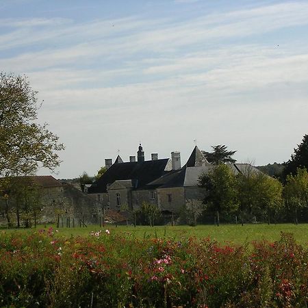 Chateau De La Noblaye Bed & Breakfast Lemere Exterior foto