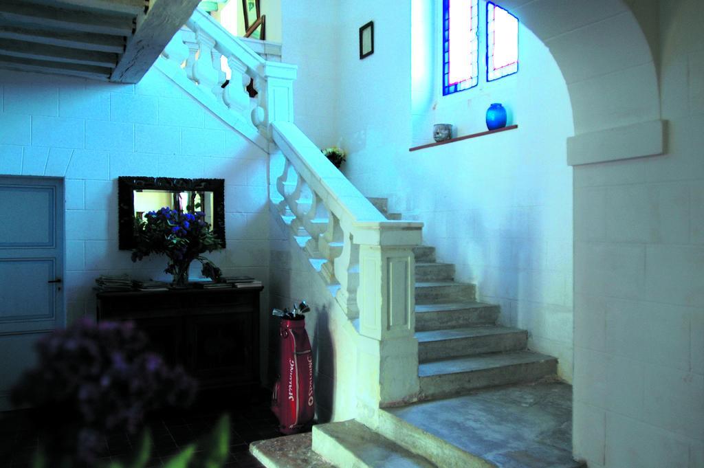 Chateau De La Noblaye Bed & Breakfast Lemere Exterior foto