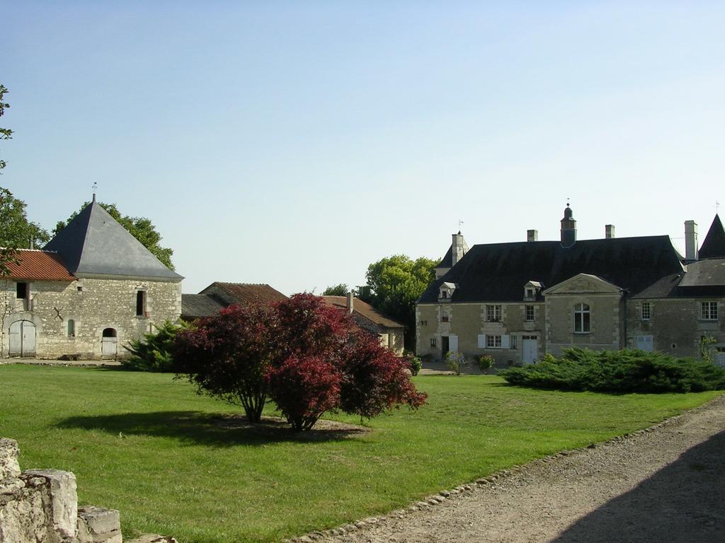 Chateau De La Noblaye Bed & Breakfast Lemere Exterior foto
