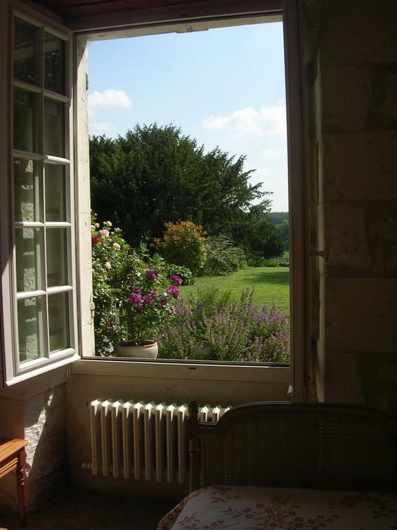 Chateau De La Noblaye Bed & Breakfast Lemere Exterior foto