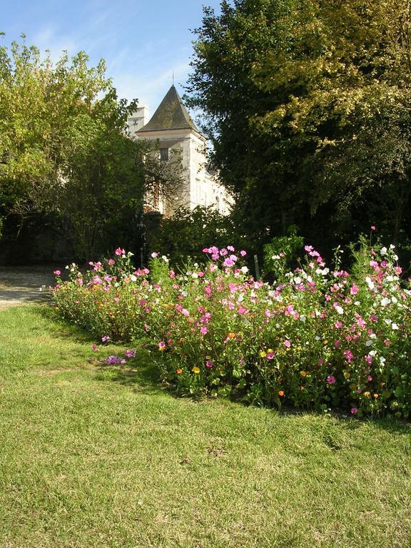 Chateau De La Noblaye Bed & Breakfast Lemere Exterior foto