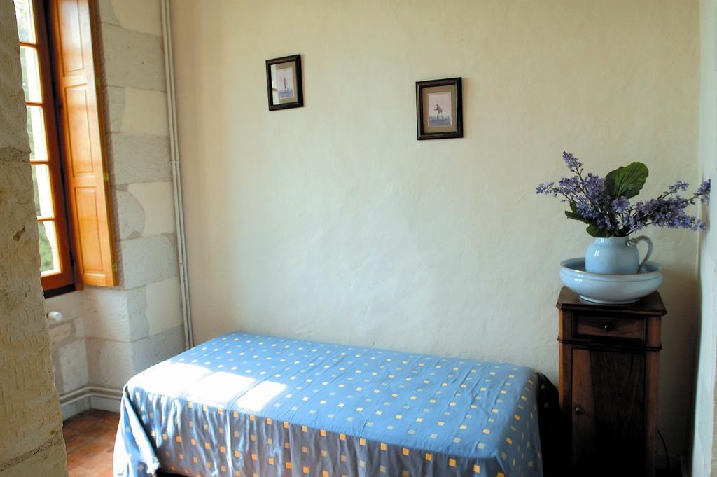 Chateau De La Noblaye Bed & Breakfast Lemere Exterior foto
